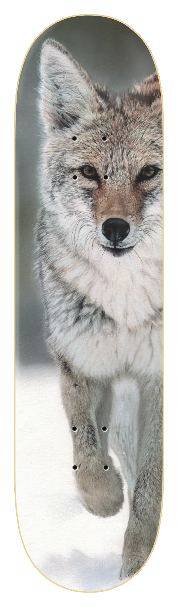 ZERO X HESS THOMAS COYOTE 8.25" LTD SKATEBOARD DECK